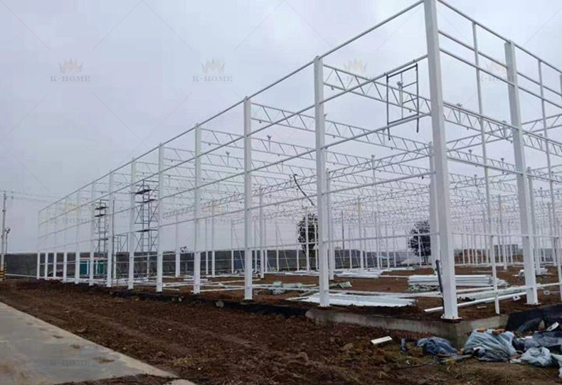 High Light Transmission PC Board Greenhouse Frame Steel Structure