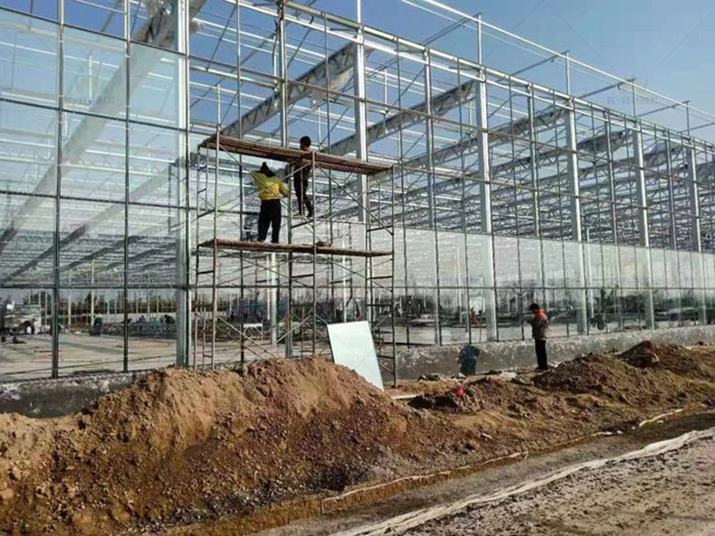 High Light Transmission PC Board Greenhouse Frame Steel Structure