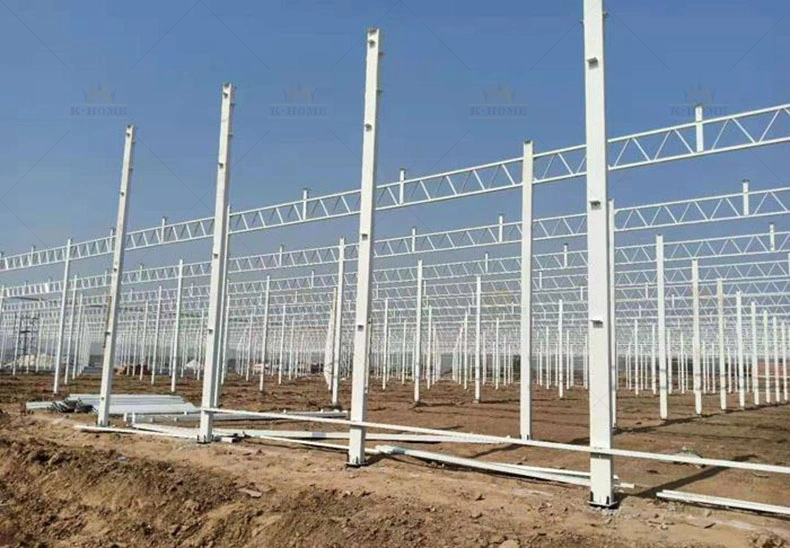 High Light Transmission PC Board Greenhouse Frame Steel Structure