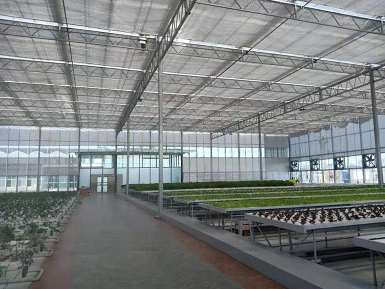 High Light Transmission PC Board Greenhouse Frame Steel Structure