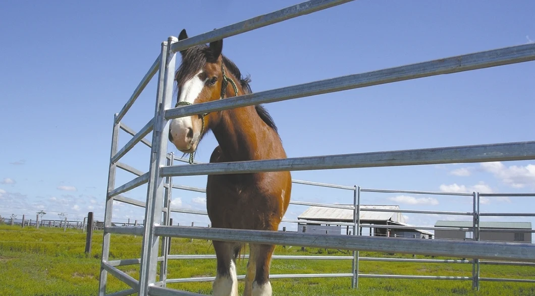 Oval Pipe Square Pipe Round Pipe Stable Corral Pen Farm Fence Panel for Sale