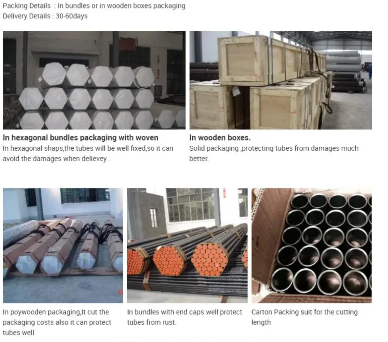 API 5CT Seamless Petroleum Steel Casing and Tubing for Oil/Water Well Drill/Geological Pipe