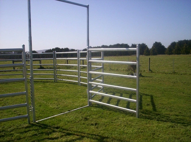 Galvanized Square Pipe Heavy Duty Alpaca Fence Panel / Goat Corral Steel Animal Fence