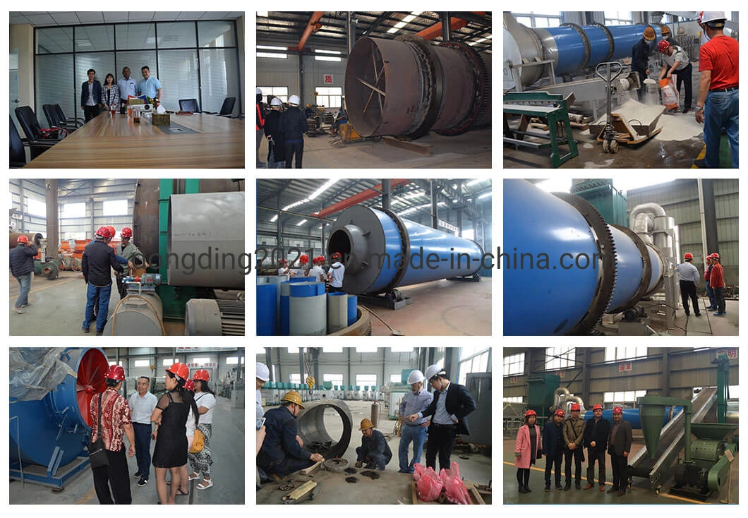 The Stainless Steel Top Feeding Brewer&prime; S Yeast Spray Dryer, Dry Yeast Production Line