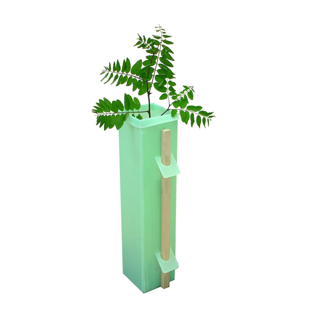 PP Corrugated Plastic Corflute Correx Coroplast Round Square Triangle Grow Tubes for Young Trees Vines Grapes UV Stabilize PP Fluted Plastic Tree Protector