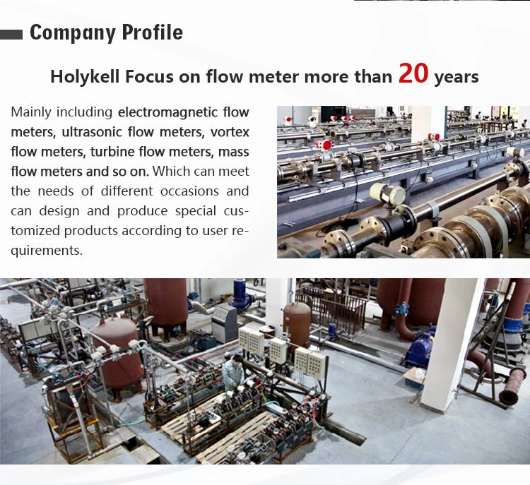 Segregated Electromagnetic Flow Gauge for Paper Pulp