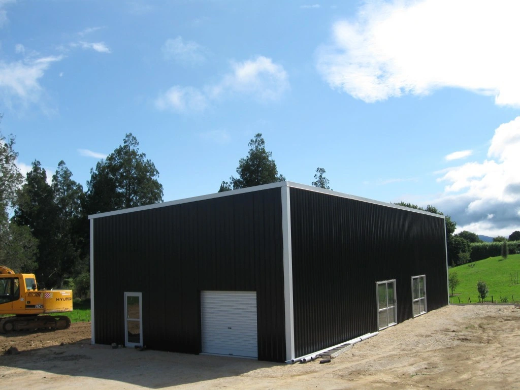 Prefabricated Light Structural Steel Garden Shed Carport (KXD-SSW232)