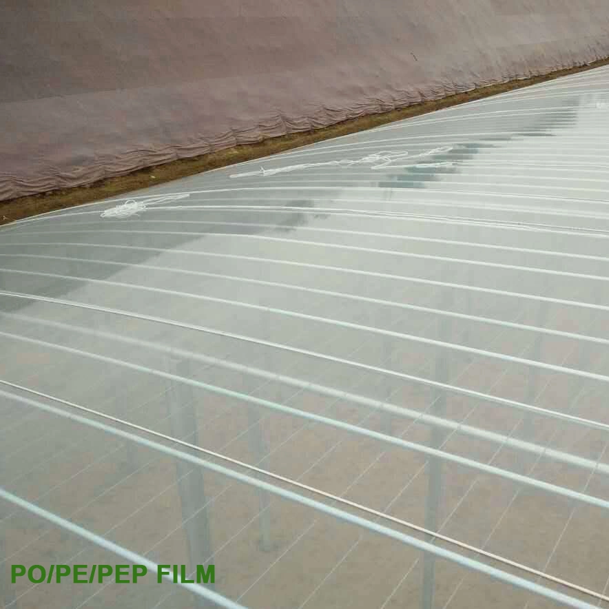 Agricultural Venlo Greenhouse Polycarbonate/Glass Covering for Sale