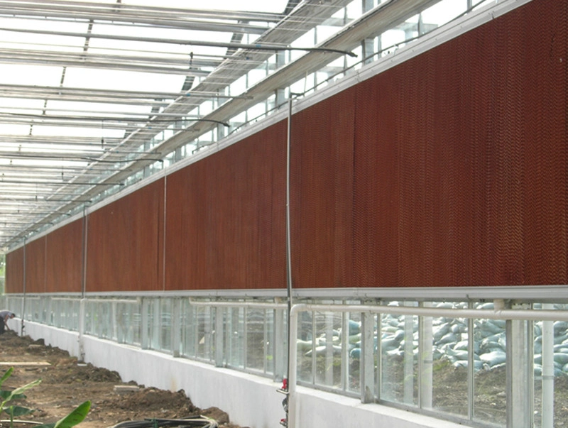 Four Seasons Building Materials for Greenhouse Covering