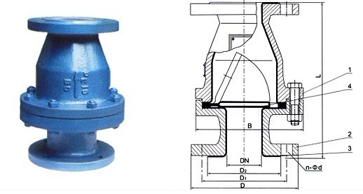 FEP/PTFE/PFA Teflon Lined Ball Type Check Valve