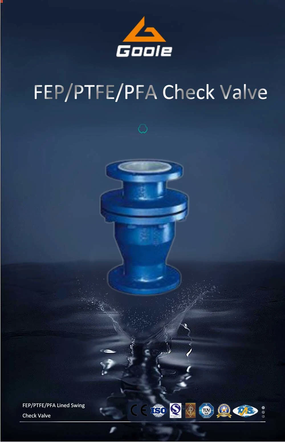 FEP/PTFE/PFA Teflon Lined Ball Type Check Valve