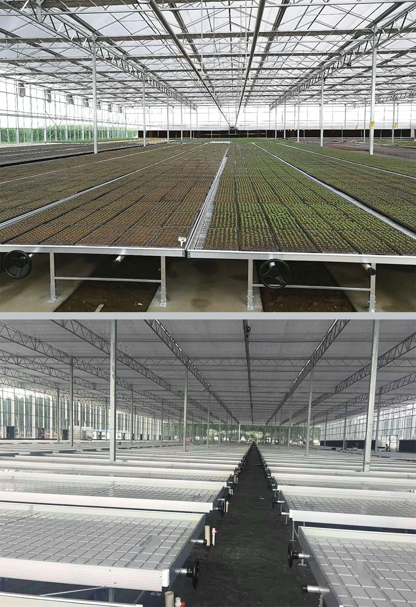 Agricultural Venlo Greenhouse Polycarbonate/Glass Covering for Sale