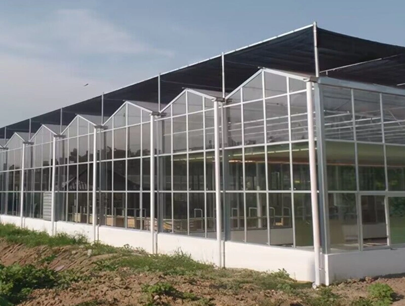 Four Seasons Building Materials for Greenhouse Covering