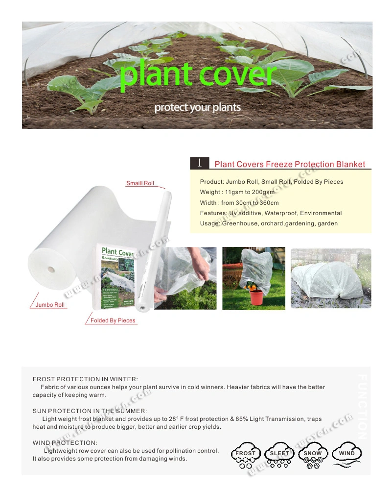 Covering Flowers for Frost, Protecting Plants From Cold, Best Plant Covers for Winter