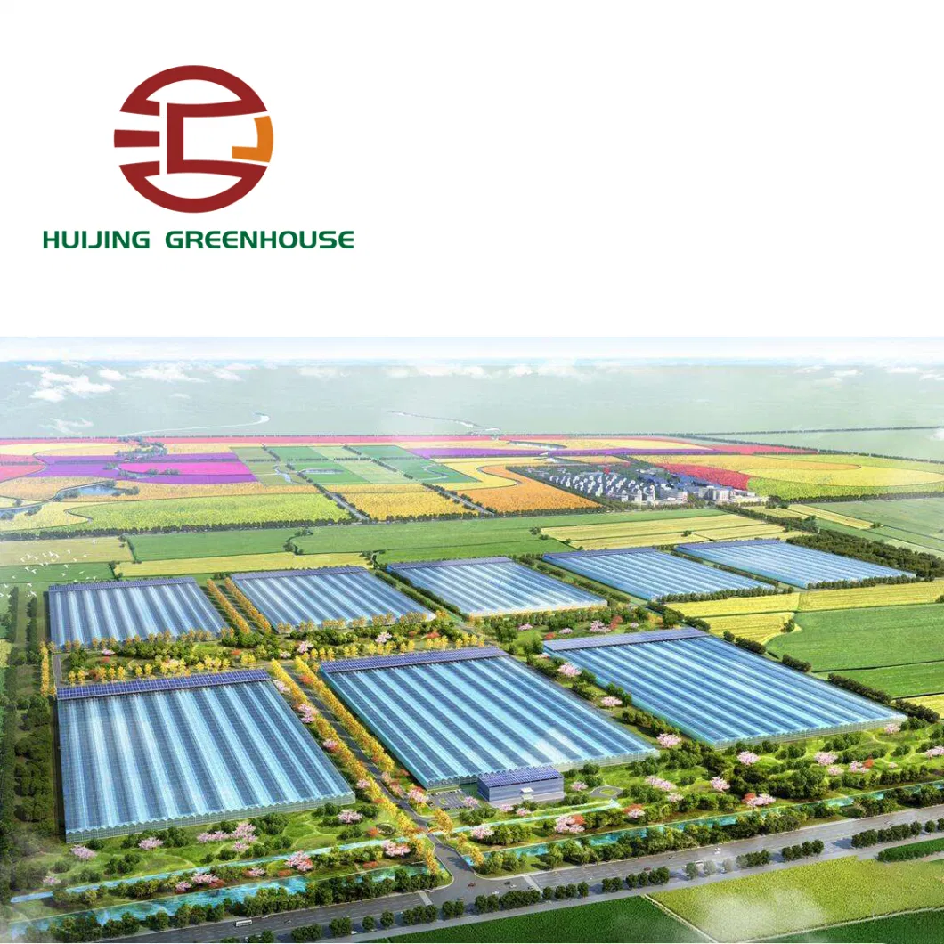 Agricultural Venlo Greenhouse Polycarbonate/Glass Covering for Sale