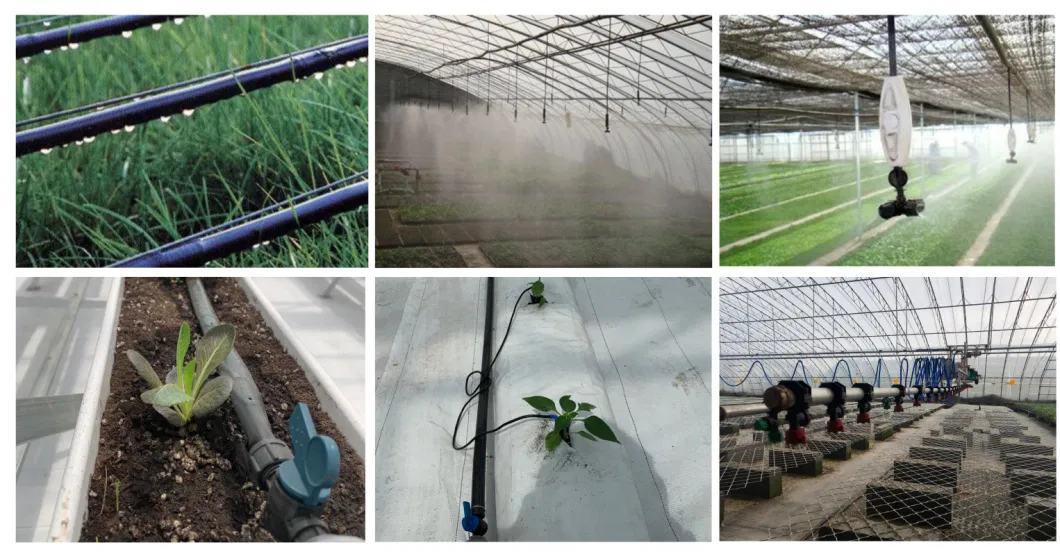 Best Sell Greenhouse Covering for Plastic Film Greenhouse with Hydroponic System