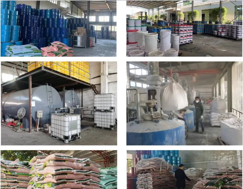 Manufacturers in Shandong Export High-Quality Plastic Pellets