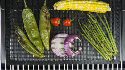 Pfoa aun mantiene libre de humo de asar los sabores de hoja de la parrilla de malla de PTFE