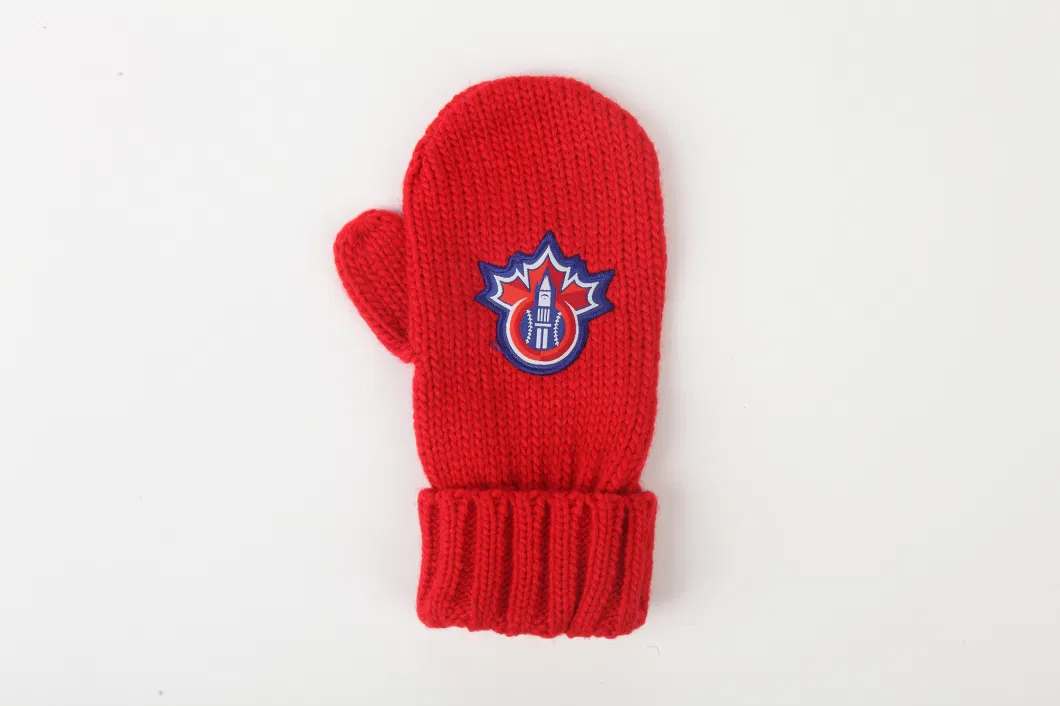 Embroidery Pattern Winter Knitted Warm Mittens