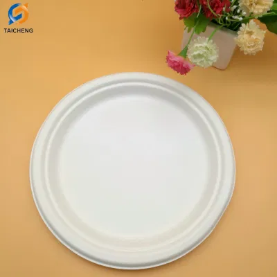 100% Environment-Friendly Biodegradable Plate Sugarcane Bagasse