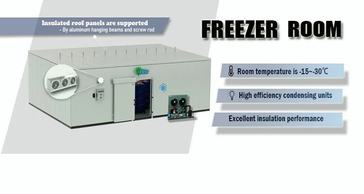 Cold Room, Cold Storage for Frozen Meat, Seafood, Vegetable and Fruits