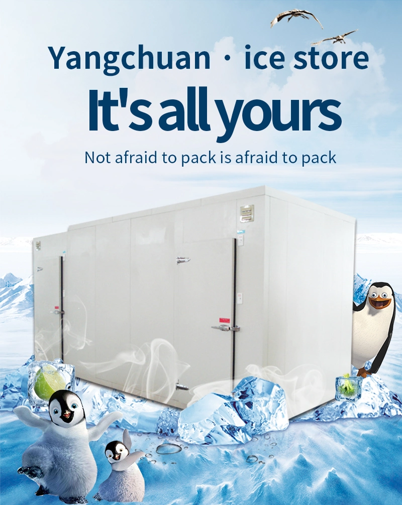 Factory Price High Grade Air Chiller Blast Freezer Cold Room Storage for Food Refrigeration