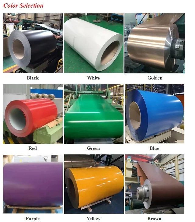 Supplier Hot Dipped Colour Roll Prepainted Galvanized Color Coated PPGI PPGL Aluminum Roofing Steel Coil Construction Material