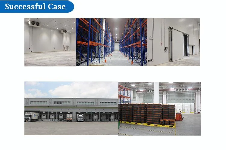 Fruit/Vegetable/Meat/Seafood Cold Storage Room Cold Storage Warehouse