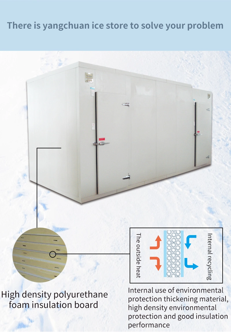 Factory Price High Grade Air Chiller Blast Freezer Cold Room Storage for Food Refrigeration