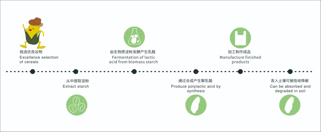 100% Biodegradable Cutering Supplies Environmental Material Polylactic Acid Spoon Natural PLA Fork