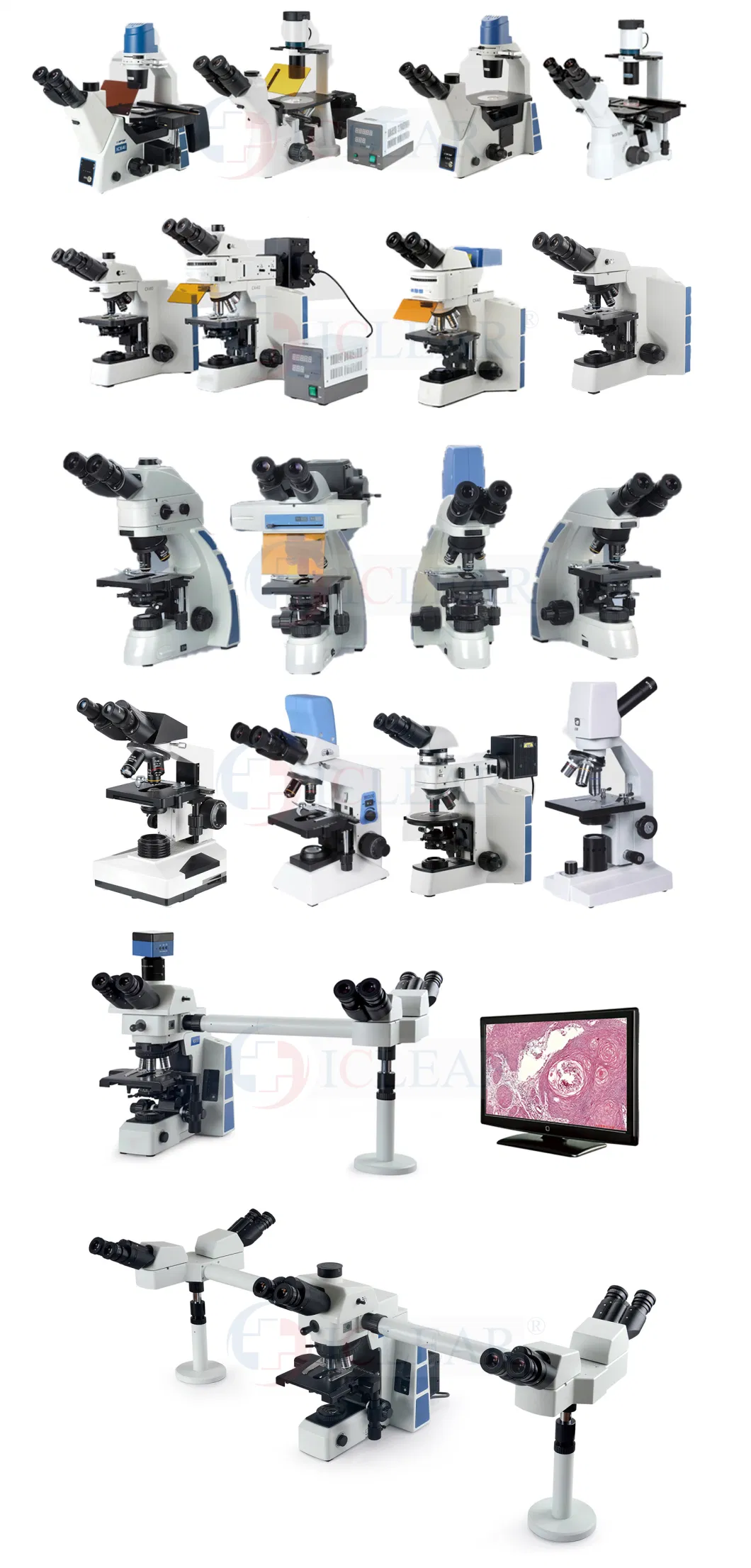 HD Digital Biological Microscope with Screen