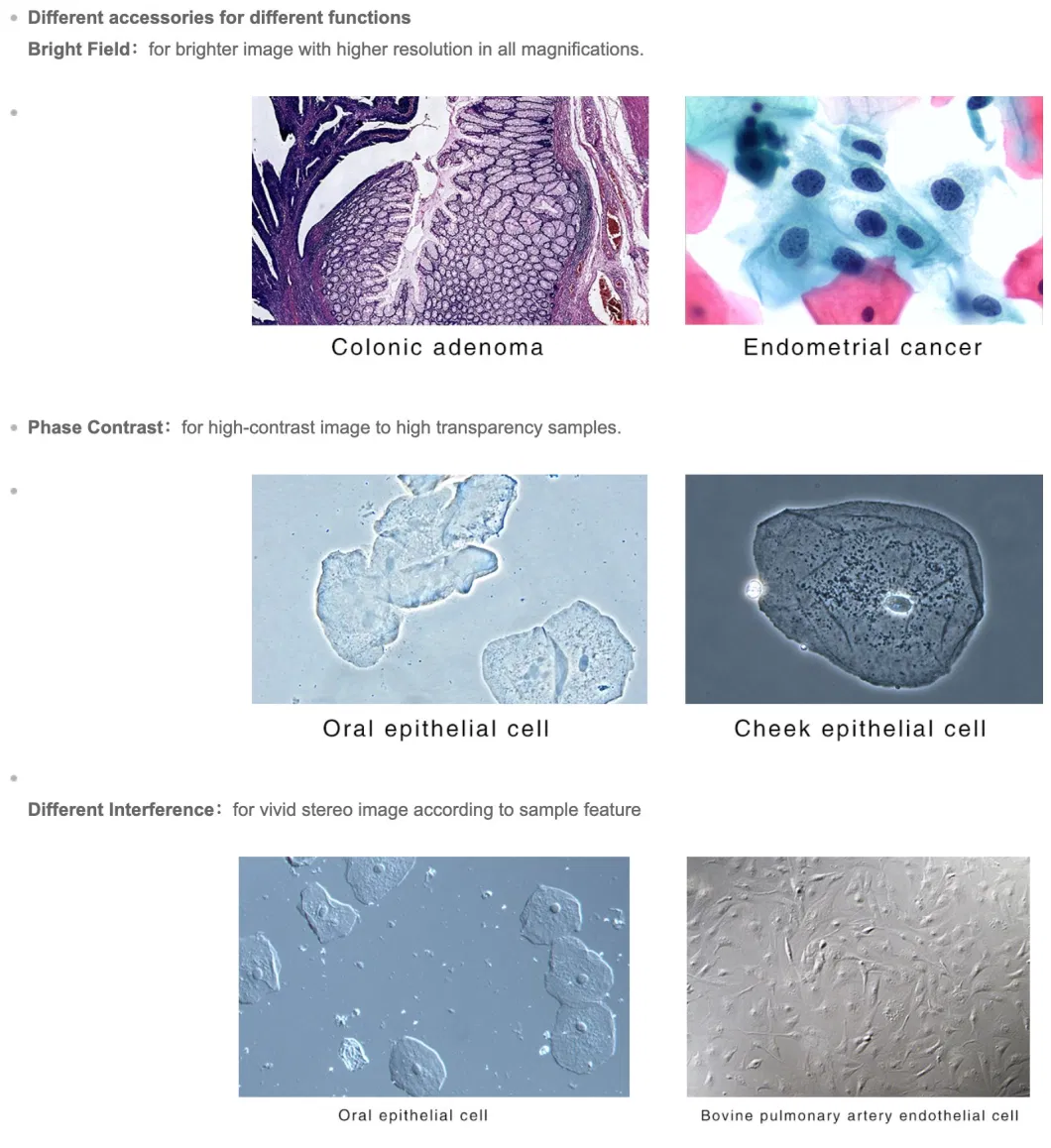 HD Digital Biological Microscope with Screen