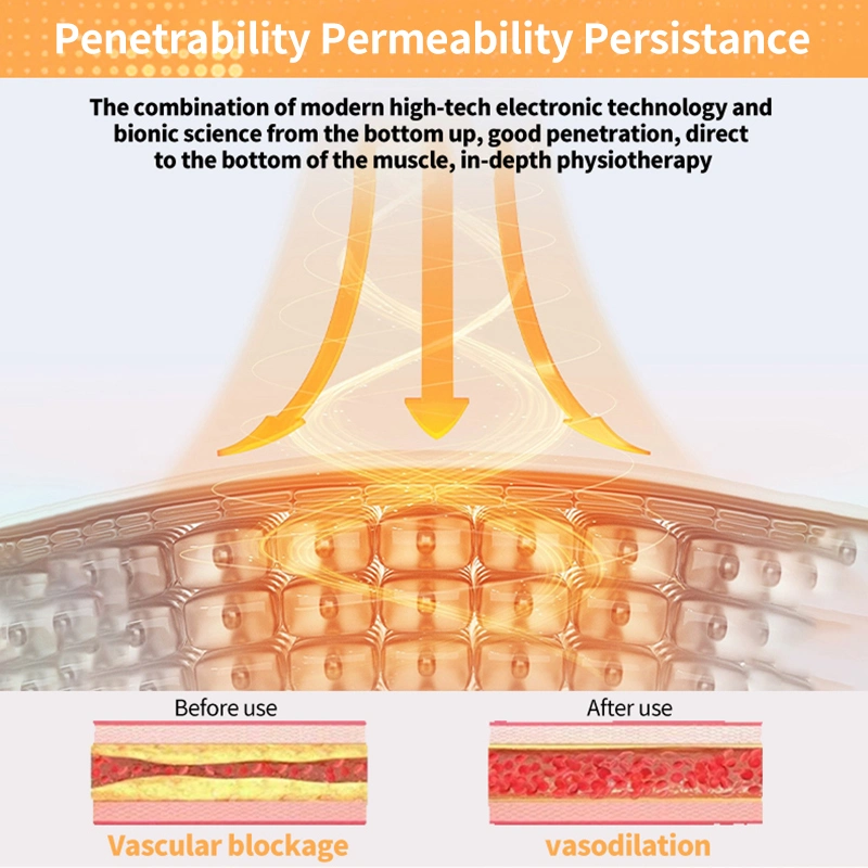 Suyzeko Terahertz Thz Frequency Quantum Healing Pemf Bioresonance Foot Therapy Device