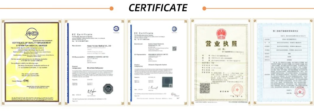 17*17&prime;&prime; Dr Flat Panel Detector Wireless Digital X Ray Flat Panel Detector