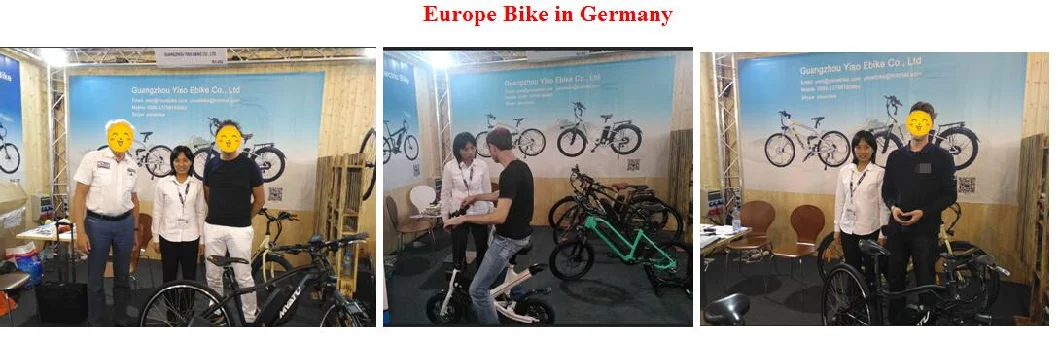 Hot Sale 750W Motor 3 Wheels Electric Cargo Bike