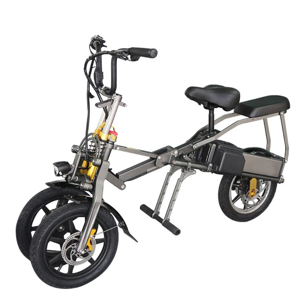 3 Wheel Electric Tricycle Scooter/Electric Bike/E Bicycle