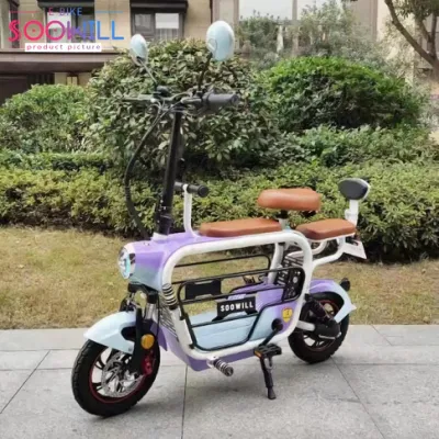 48V 12Ah Pet Carrier motocicleta eléctrica Batería de litio Scooter eléctrico Ebike