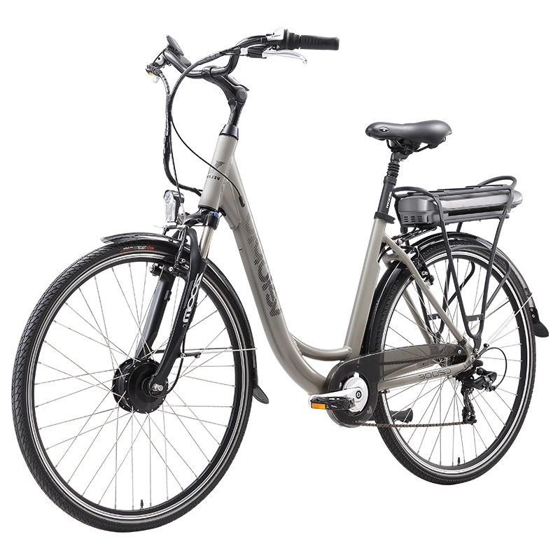 Electric Vehicle Electric Bike 250W Electric Rickshaw