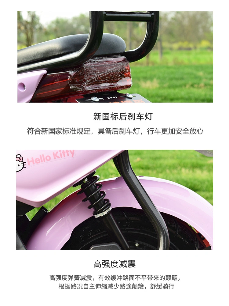 Fashion Electric Bike for Men and Women