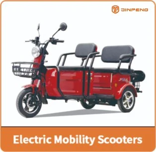 China Profession Factory Direct Supply Disabled 3 Wheels Handicapped Electric Tricycle Bicycle