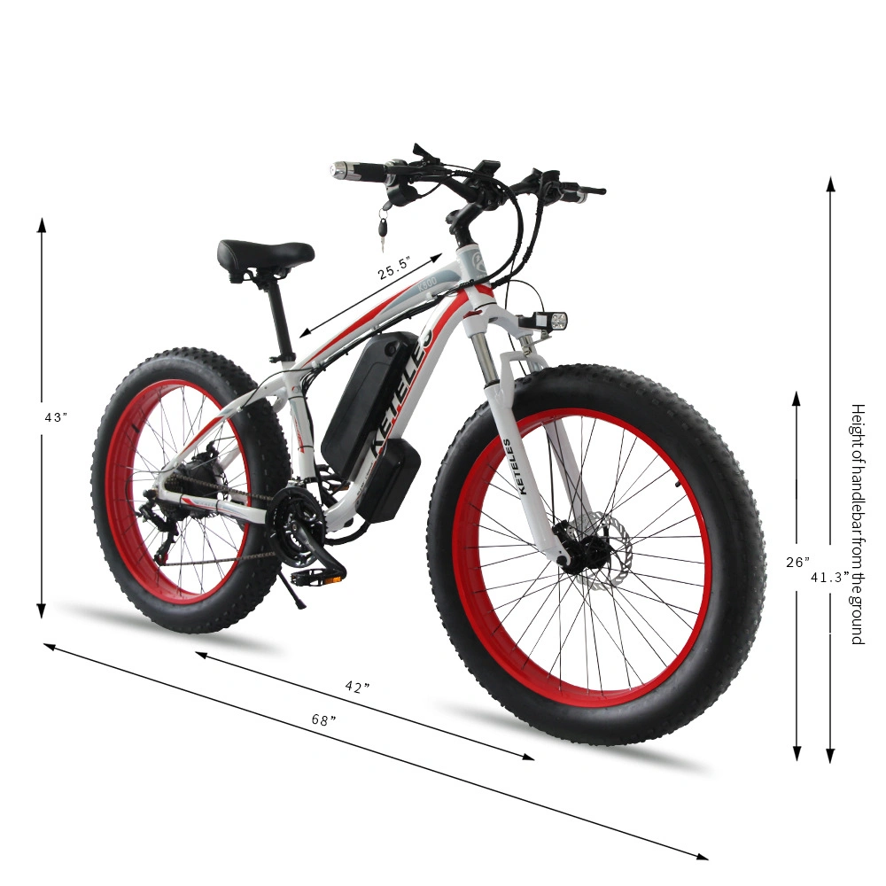 Electric Bike 36V 250W 48V 500W Fat Tire E-Scooter for Adult