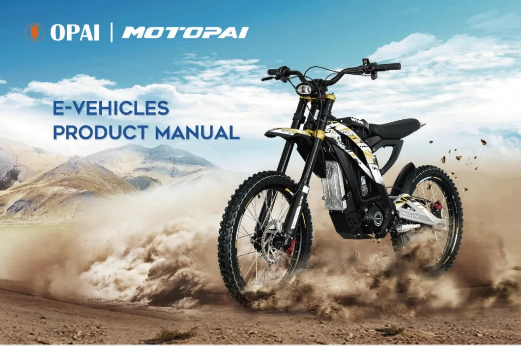 M300 Electric Dirt Bike 3000W