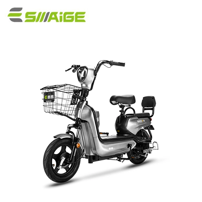 Chinese Famous Factory Supply EEC Model Yg Electric Bicycle