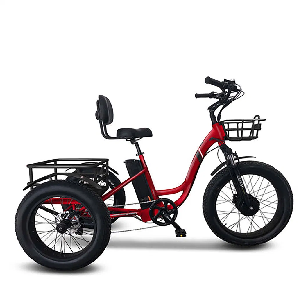 3 Wheel Cargo Bike 48V Lithium Battery 500W Foldable Electric 3 Wheel Cargo Bike