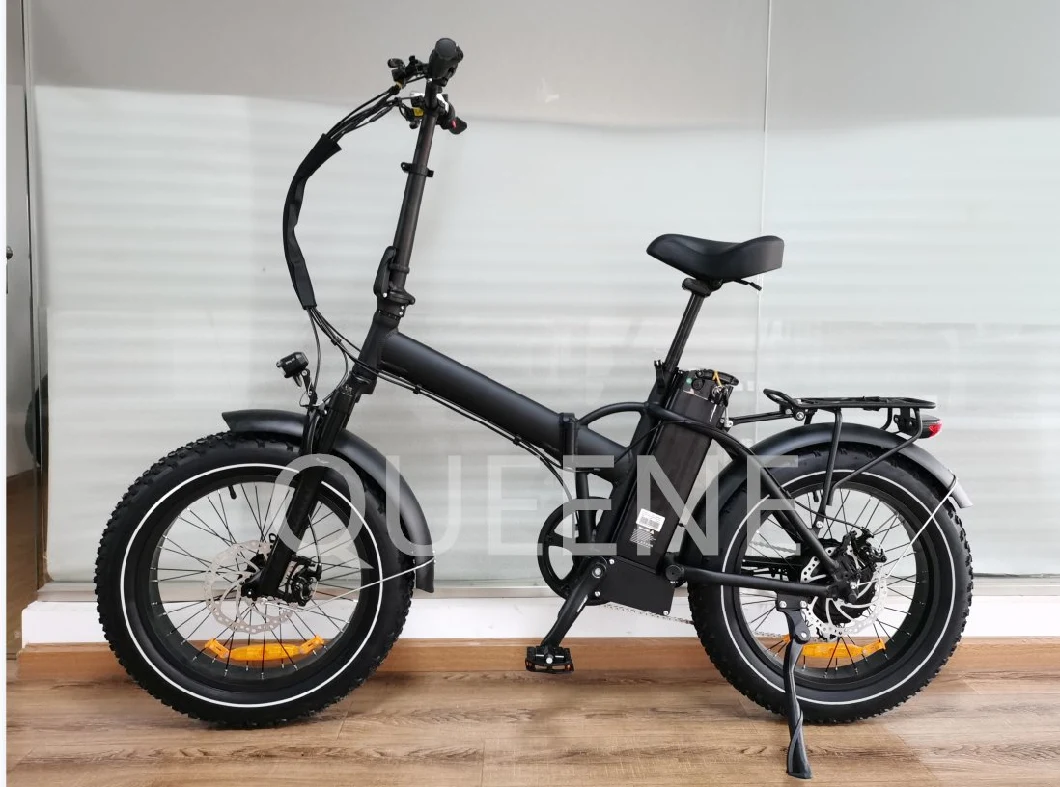 Adjustable Fat Tire Electric Bike Ebike Folding Electric Bicycle Bicicleta