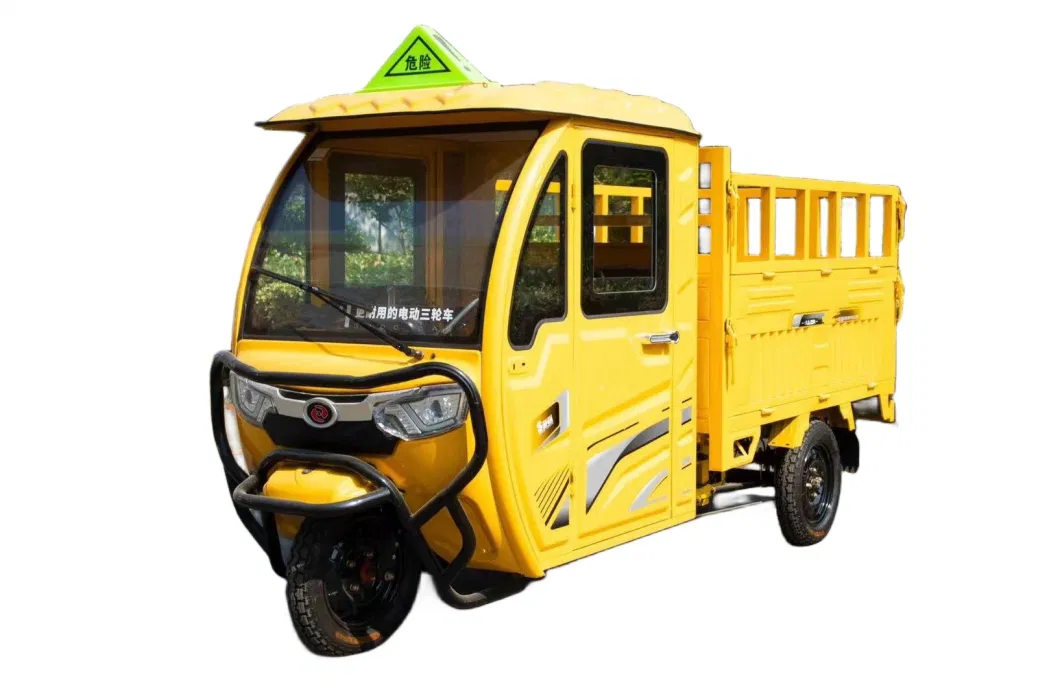 800W 48V Mobility Unisex Adult Passenger and Cargo Dual-Use Electric Tricycle