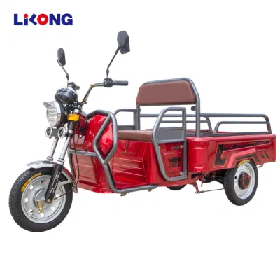 Лучший качество тяжелый груз Tricycle Auto Рикша E погрузчик