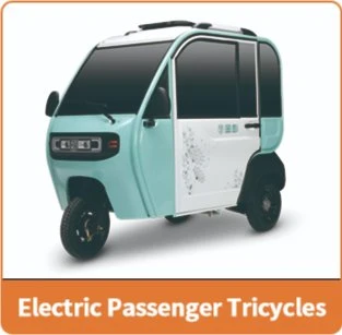 Adult Electric Cargo/Passager Tricycle 3 Wheels Bike