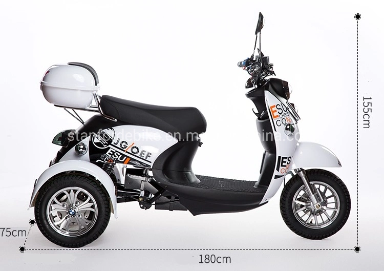 3 Wheel Adult Electric Tricycle 60V 20ah Lithium Battery 1200W Trike Electric Bicycle