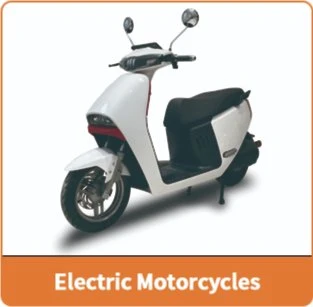 Adult Electric Cargo/Passager Tricycle 3 Wheels Bike